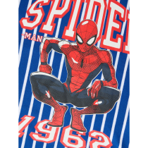 NAME IT Bluse Once Spider-Man Surf The Web